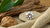 Is Lab Grown Diamond Valuable? Understanding the Worth of Ethical Luxury