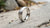 What Does a Silver Wedding Ring Mean