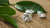 How to Grow Lab Grown Diamonds: The Sustainable Choice for Ethical Luxury