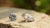 How to Tell a Real Diamond from a Lab Diamond: A Comprehensive Guide to Ethical Luxury