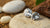 Are Moissanite and Lab-Grown Diamonds the Same? Understanding the Differences and Making Ethical Choices