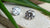 What is the Difference Between VVS and VS Diamond Clarity? A Comprehensive Guide