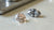 Are Lab Grown Diamonds As Strong As Natural Diamonds? A Comprehensive Guide