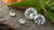 The Ultimate Guide on What to Look for When Buying Lab Grown Diamonds