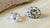 Is a Moissanite a Lab Diamond? Understanding the Differences and Making Informed Choices