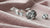Understanding Diamond Cut: What Does Cut Mean in Diamonds?