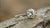 How Much Does a 1.5 Carat Lab Diamond Cost? The Ultimate Guide to Ethical Luxury