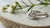 How Big is a 0.75 Carat Round Diamond? Understanding Size, Shape, and More