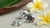 Understanding the Color and Clarity of Diamonds: Your Ultimate Guide