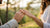 Which Hand Should You Wear a Promise Ring On? A Comprehensive Guide