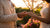 When Should You Get Promise Rings? A Comprehensive Guide