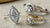 Are Marquise Cut Diamonds More Expensive? Understanding the Value and Beauty of This Unique Cut