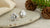 How Big Are 2 Carat Diamond Earrings? A Comprehensive Guide to Choosing the Perfect Pair