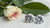 Lab-Grown vs Natural Diamonds: Which is Better for You?