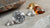 Do Real Diamonds Shine Colors? Understanding the Brilliance and Fire of Diamonds