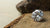 Is VS2 Clarity a Good Diamond? Understanding the Balance of Beauty and Value