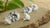 What Are the Best Lab-Created Diamonds? A Comprehensive Guide