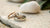 What Should a Wedding Ring Cost