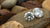 What Is the Difference Between Lab-Created Diamonds and Moissanite?