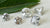 What Diamond Cut Says About You: A Guide to Choosing the Perfect Shape
