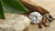 Why Get a Lab-Grown Diamond? The Ethical Choice for Modern Luxury