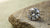 Is G a Good Color for a Diamond? Understanding the Beauty and Value of G Color Diamonds