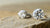 Is Moissanite a Lab-Created Diamond? A Comprehensive Guide to Understanding the Differences