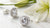 The Ultimate Guide on How to Buy Diamond Earrings