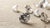 Do Lab Grown Diamonds Test as Real? Understanding the Authenticity of Lab Diamonds