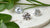 Understanding Lab-Grown Diamonds: What Are the Different Types of Lab-Grown Diamonds?