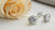 The Ultimate Guide on What Can I Clean My Diamond Earrings With