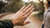 Can I Wear a Promise Ring on My Middle Finger? Exploring the Symbolism and Choices