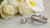 What's the Difference Between the Engagement Ring and Wedding Ring