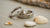 How Much Is a Wedding Ring Supposed to Cost
