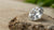What Is a Good Clarity Rating for a Diamond?