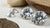 Is Diamond Clarity Good? Understanding VVS and VS Diamonds
