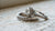 How Much Is a Decent Wedding Ring