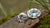 Are Lab Grown Diamonds as Valuable as Mined Diamonds?