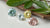 The Ultimate Guide to E Color Diamonds: Understanding Their Beauty and Value