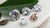 What Does Diamond Cut Mean? A Comprehensive Guide to Understanding Diamond Cuts