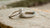 What Order Wedding Band And Engagement Ring
