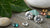 Are Lab Grown Diamonds Environmentally Friendly? Understanding the Eco-Friendly Choice in Fine Jewelry