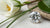 How Much Is a Lab Grown Diamond Worth: The Comprehensive Guide