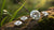 Do Lab-Grown Diamonds Keep Their Sparkle? Understanding the Brilliance of Ethical Luxury