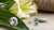 Is Lab Grown Diamond Good? Exploring the Beauty of Ethical Luxury