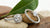 What to Know About Diamond Engagement Rings: The Ethical Choice for Lasting Love