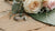 What To Do If Wedding Ring Is Too Small