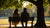 When Should I Give Her a Promise Ring? Understanding the Perfect Timing for This Cherished Token