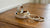 What Are the Rules for Promise Rings: A Comprehensive Guide to Meaning, Customization, and Style