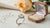 Understanding G Color Diamonds: The Perfect Blend of Beauty and Value